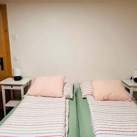 One Bedroom With Mountain And Garden View Ground Floor Of Solaria Guest house Zweisimmen